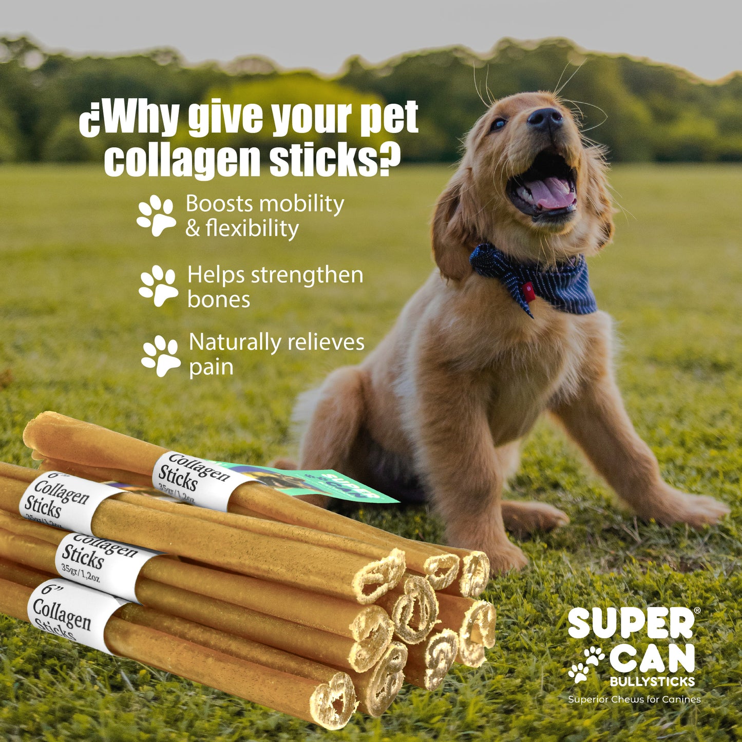 6" Collagen Sticks for Dogs — 10-Pack | SuperCan