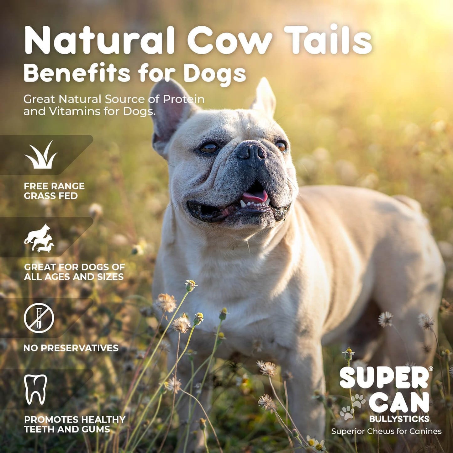 6" Cow Tails for Dogs (15 pcs)