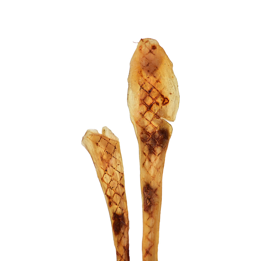 Junior Beef Tendon