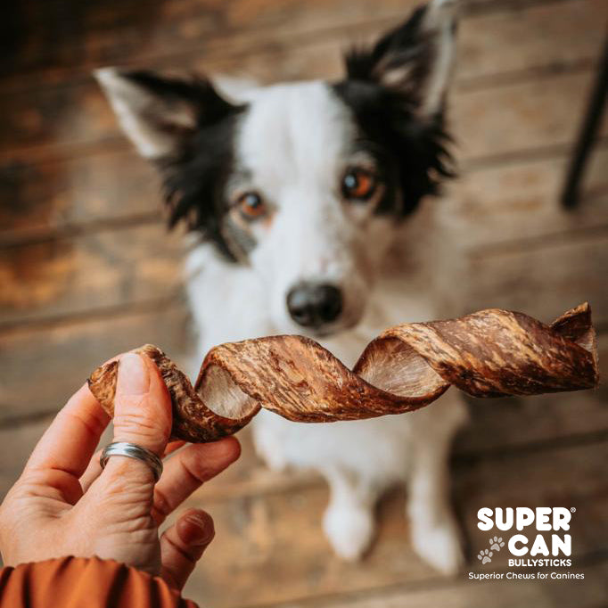 SuperCan Collagen Spring Sticks, odor-free and fully digestible dog chews