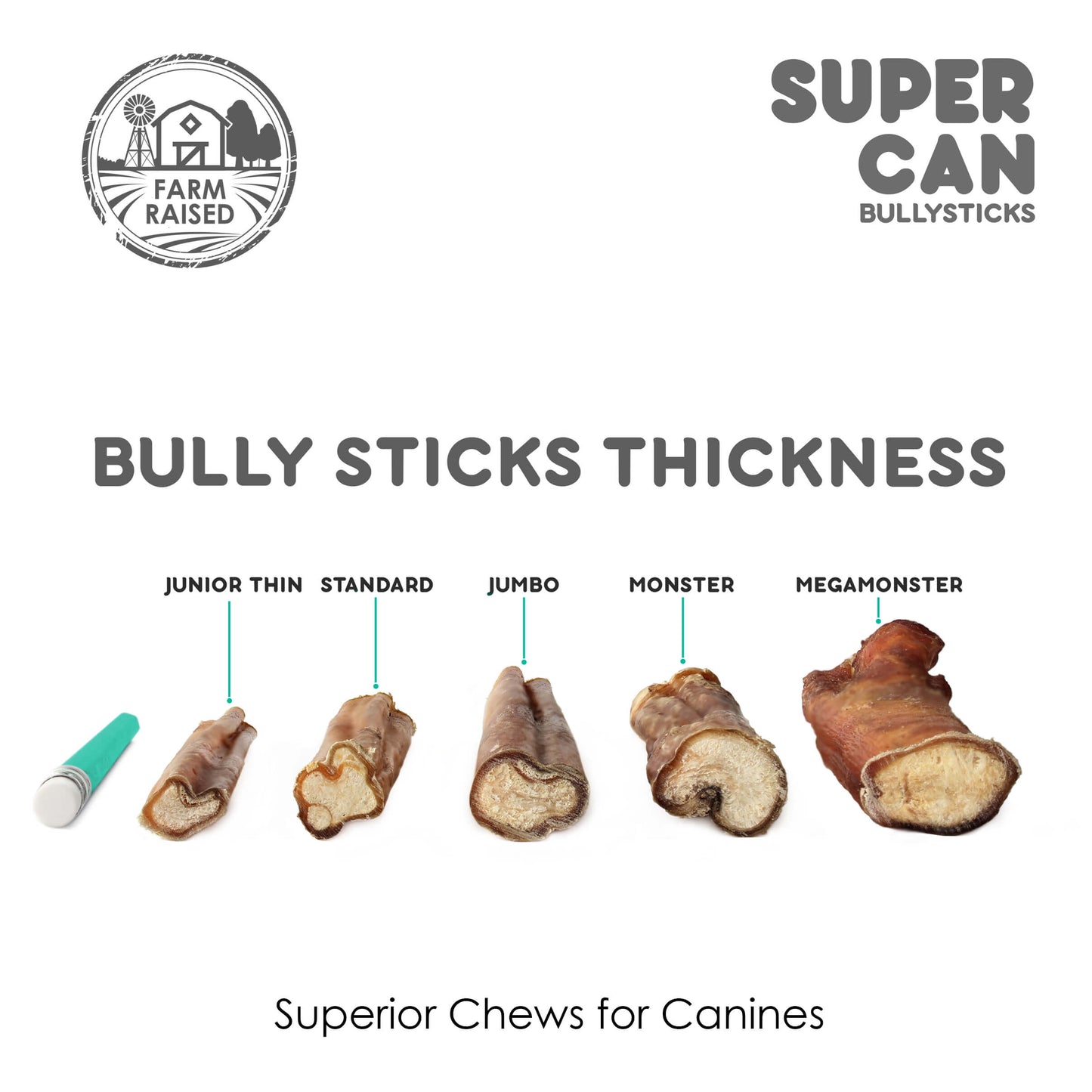 6" Junior Bully Sticks (15-Pack)