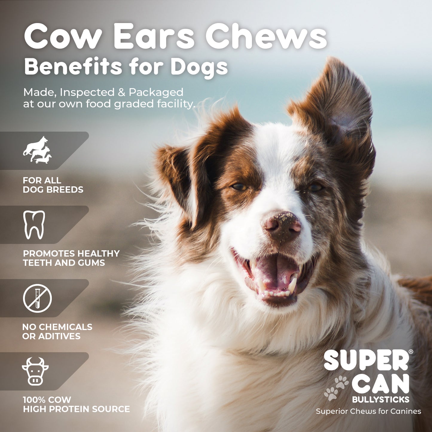 Cow Ears (15-Pack)
