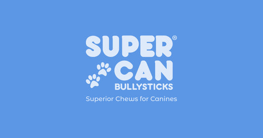 Natural dog chews vs synthetic Nylabone comparison honest guide