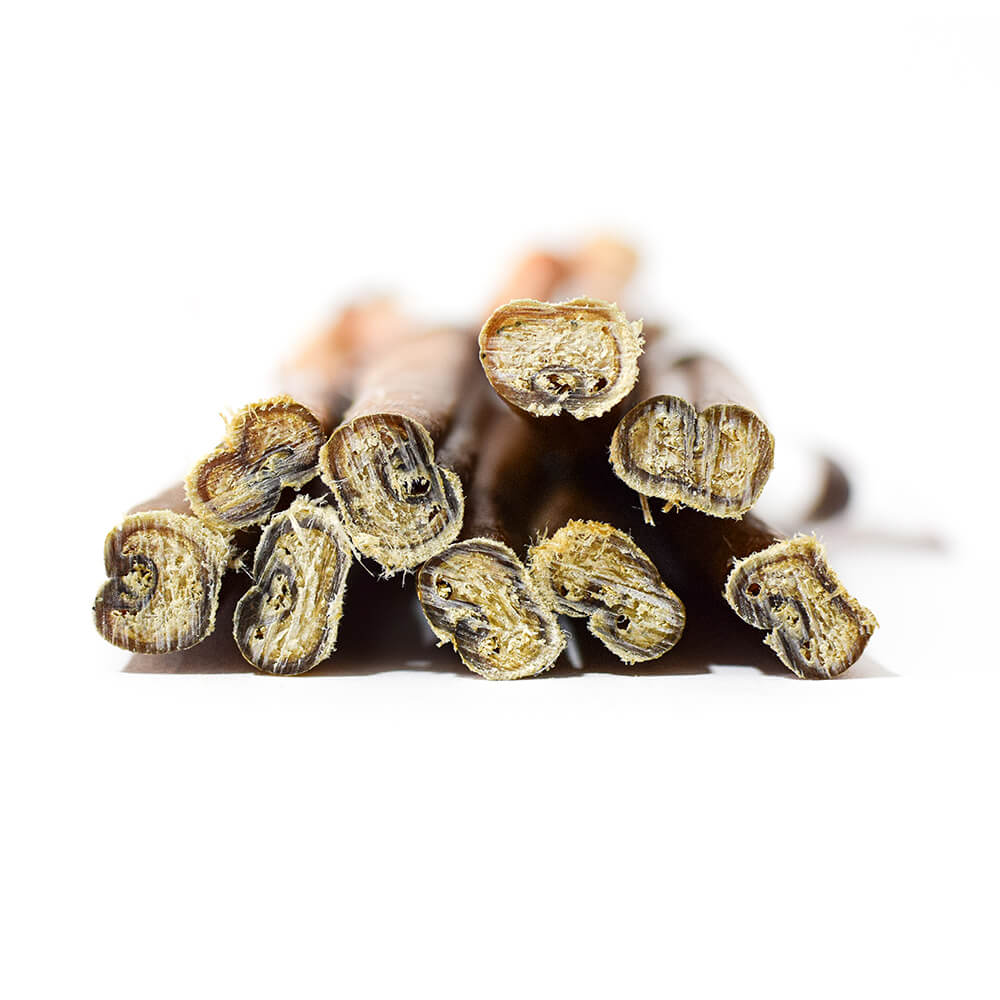 Belgian Malinois chewing bully stick natural dog treat