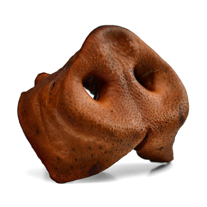 Natural pork snouts for dogs, long-lasting chew ships from Miami