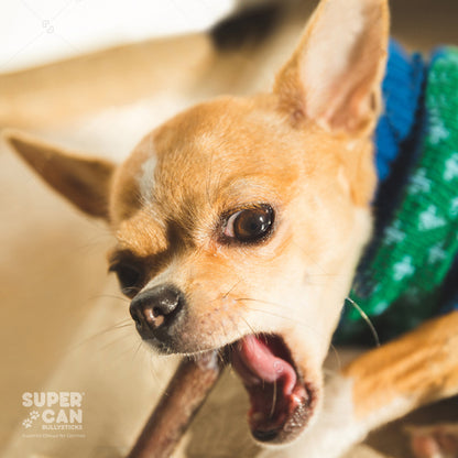6" Standard Bully Sticks | Odor-Free, Grass-Fed, Long-Lasting Dog Chews