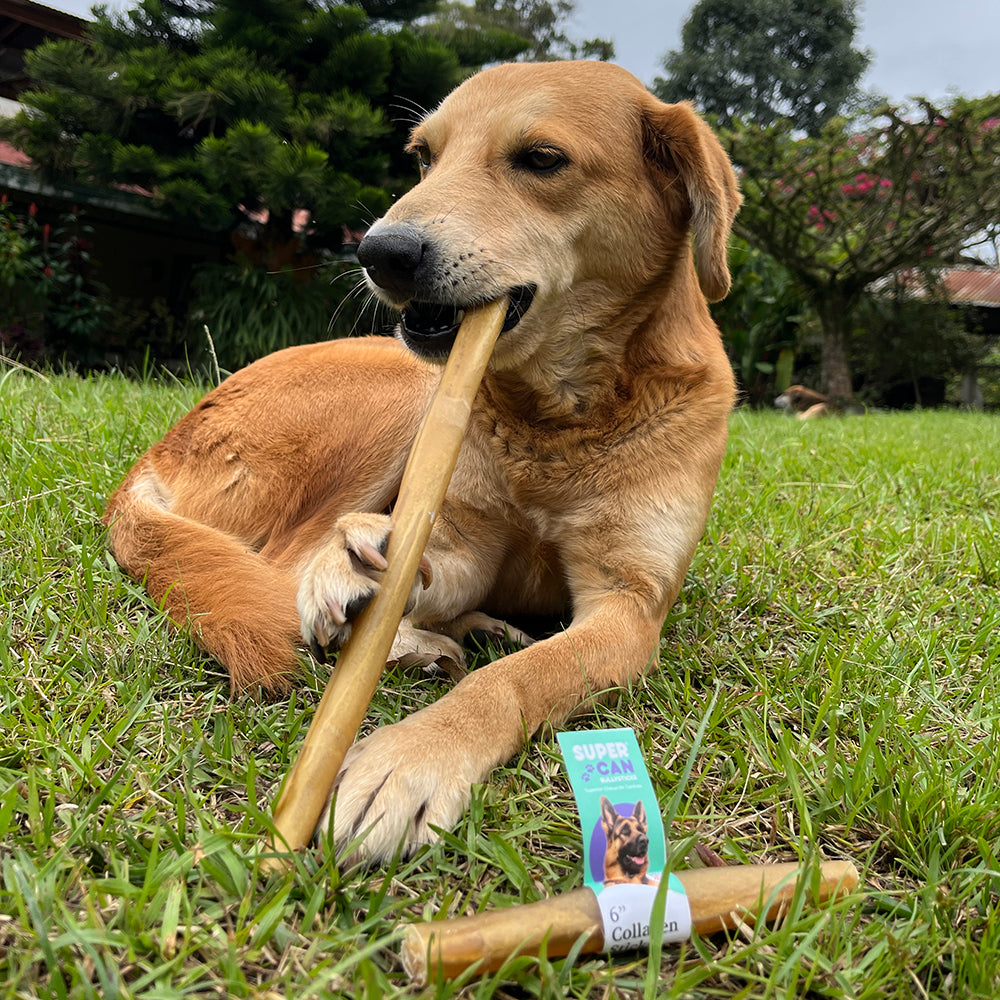 6" Collagen Sticks