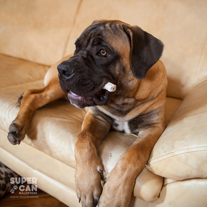 6" Standard Bully Sticks | Odor-Free, Grass-Fed, Long-Lasting Dog Chews
