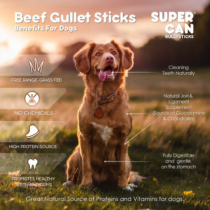 SuperCan Long Lasting 6-inch Gullet Sticks for Dogs 8onz