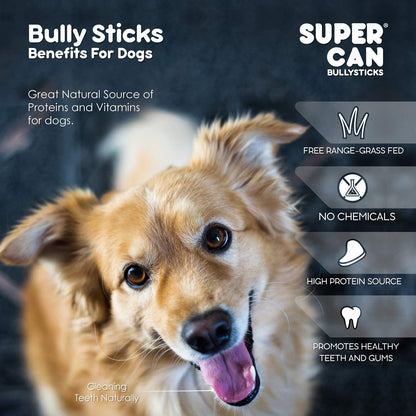 SuperCan bully sticks bulk standard size dog treat