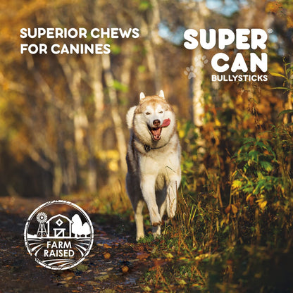 long lasting bully sticks for medium and large dogs