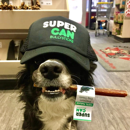odor free bully sticks made in USDA human grade facility